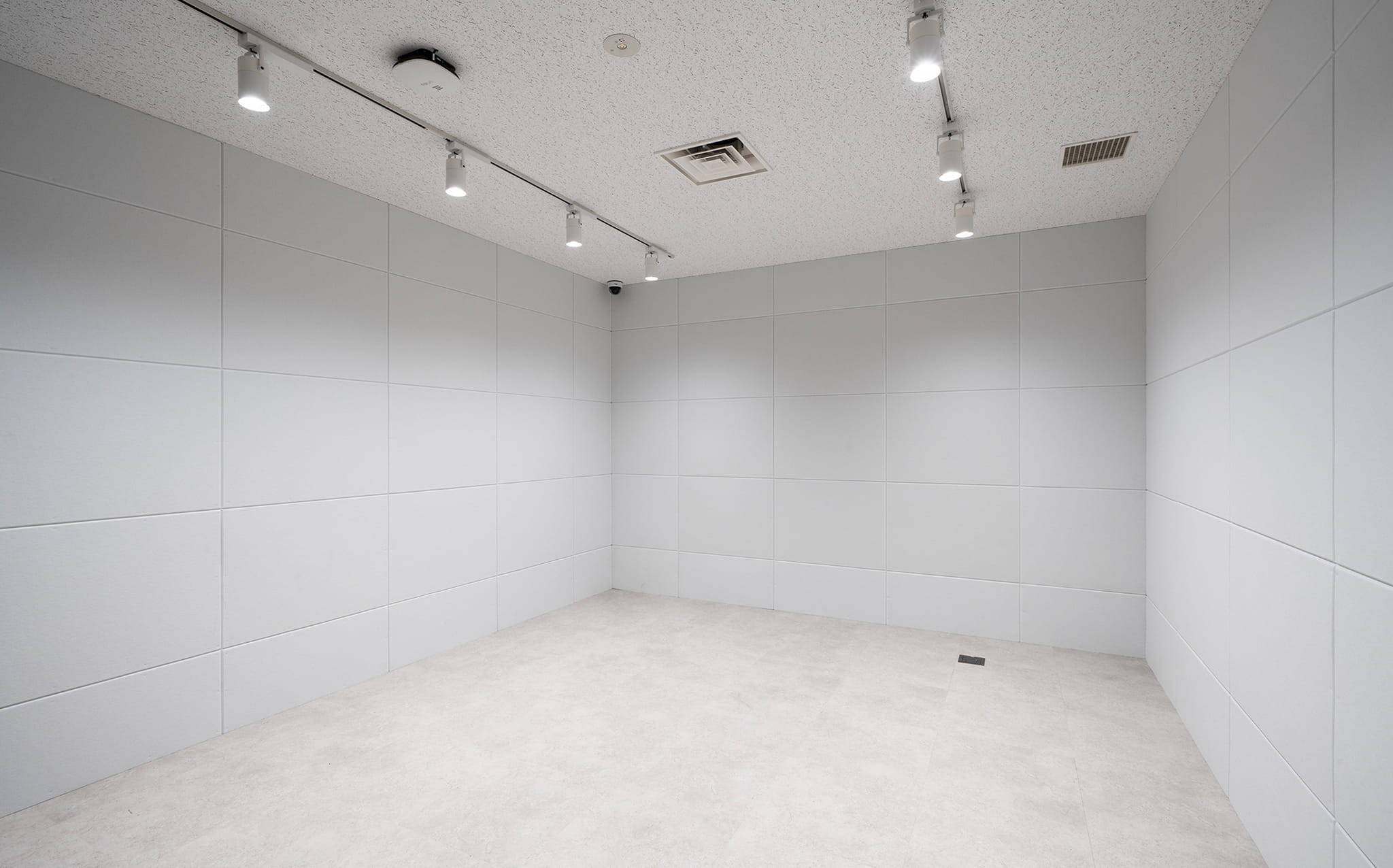 magenta スタジオ