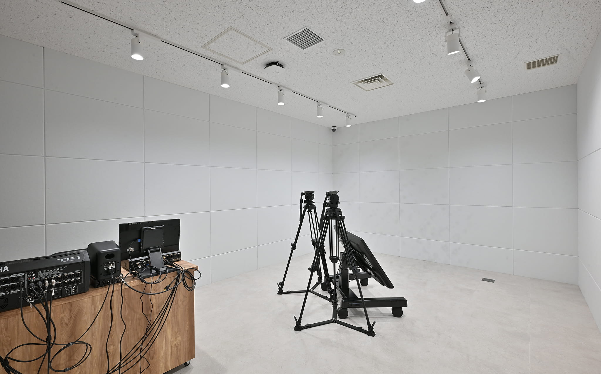 magenta スタジオ